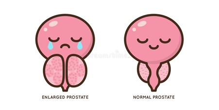 About Prostate Awareness